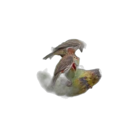 dragon, creature, animal, staff transparent PNG cut-out
