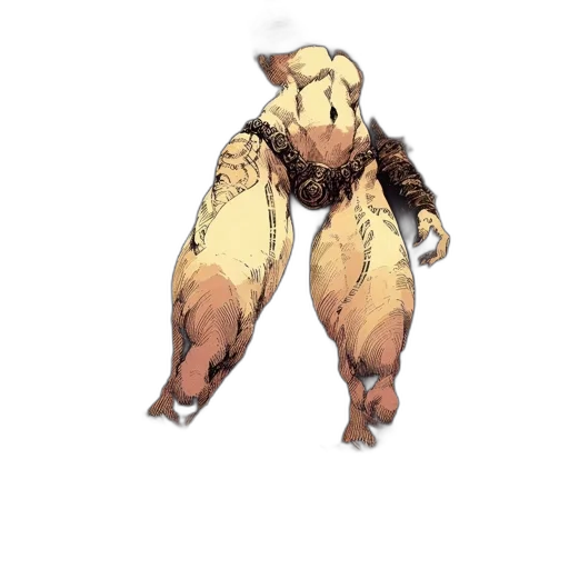 animal, creature, food, dress transparent PNG cut-out