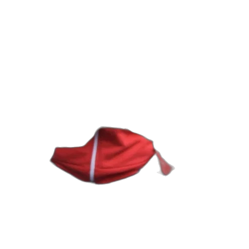 hat, umbrella, mask, shoes transparent PNG cut-out