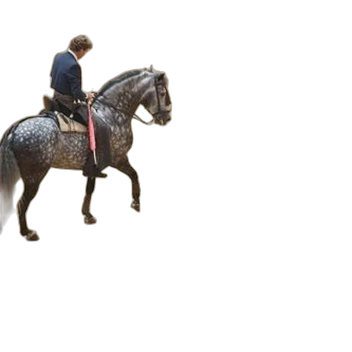 animal, staff, sword, jacket transparent PNG cut-out