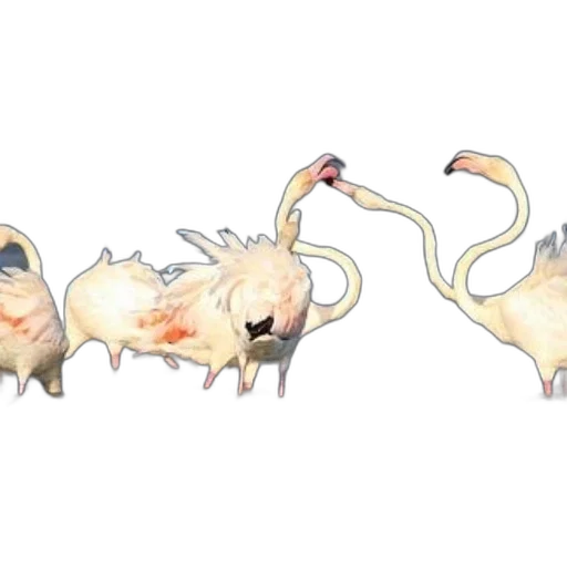 animal, creature, concept art, watercolor transparent PNG cut-out