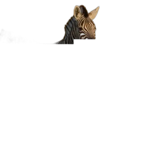 animal, creature, dragon, staff transparent PNG cut-out
