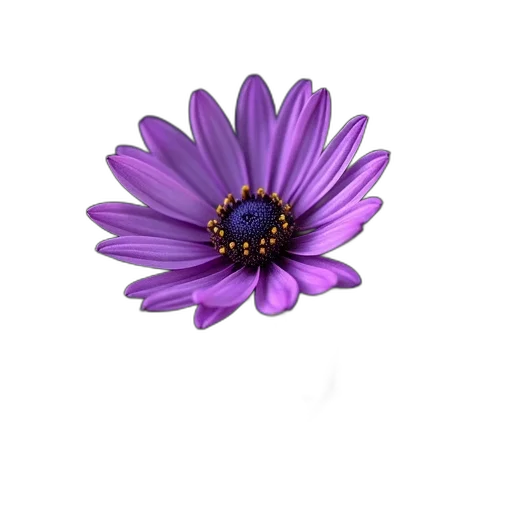 flower, jewelry, crown, staff transparent PNG cut-out