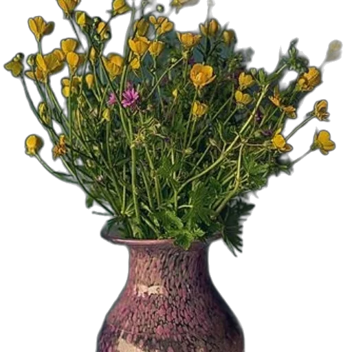 crown, flower, bottle, photorealistic transparent PNG cut-out