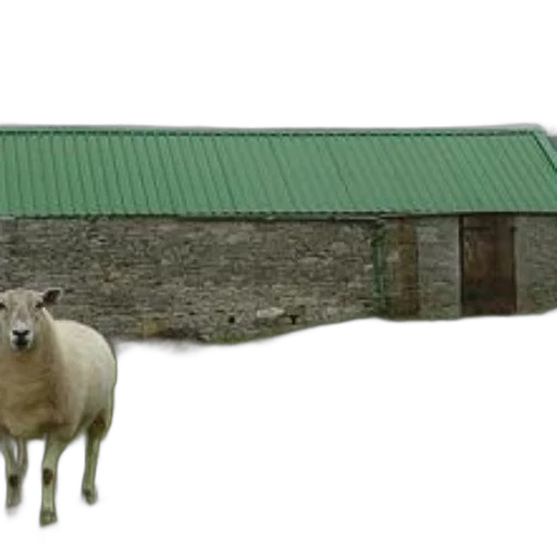 animal, building, creature, furniture transparent PNG cut-out