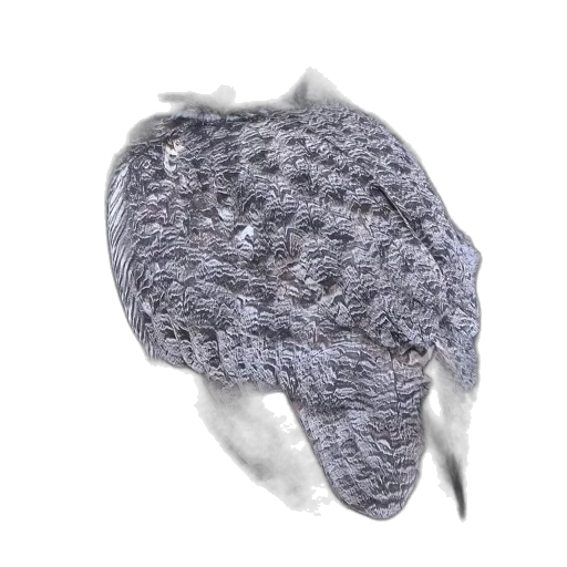 hat, jacket, mask, hair transparent PNG cut-out