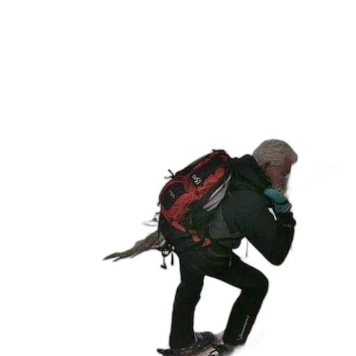 jacket, creature, dragon, staff transparent PNG cut-out