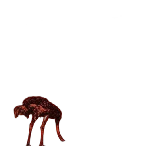 creature, animal, hair, umbrella transparent PNG cut-out