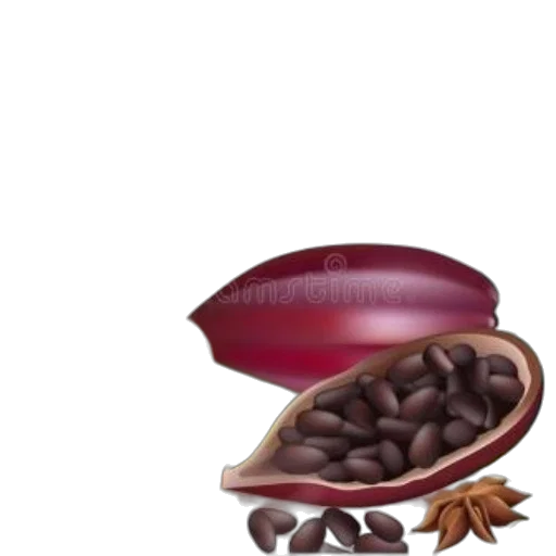 food, hat, crown, shoes transparent PNG cut-out