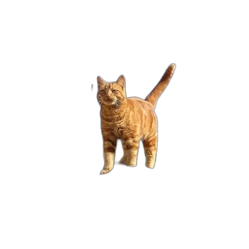 animal, creature, staff, weapon transparent PNG cut-out
