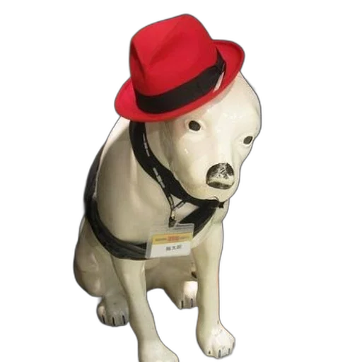 hat, staff, animal, robot transparent PNG cut-out