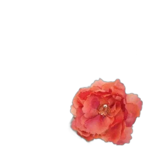 flower, crown, jewelry, hat transparent PNG cut-out