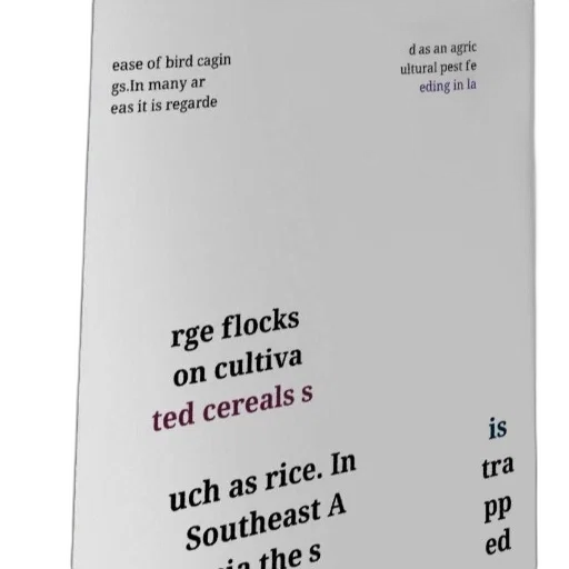 poster, text, about, bird transparent PNG cut-out