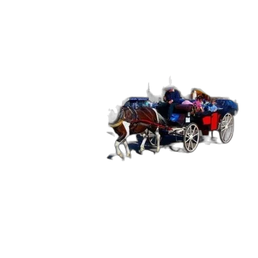 car, crown, animal, robot transparent PNG cut-out