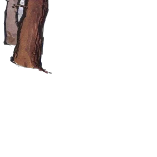 staff, tree, face, jacket transparent PNG cut-out