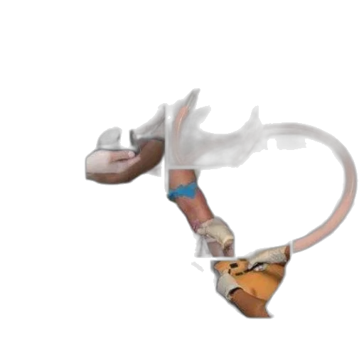 jewelry, shoes, dragon, weapon transparent PNG cut-out
