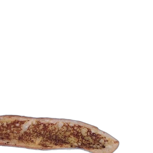 food, hair, animal, staff transparent PNG cut-out