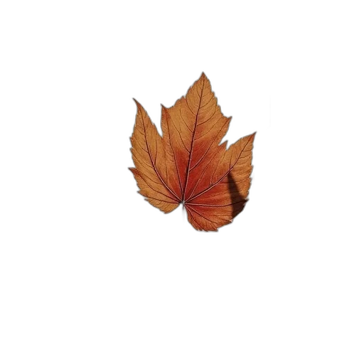 crown, flower, tree, animal transparent PNG cut-out