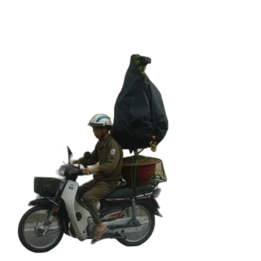 animal, weapon, jacket, creature transparent PNG cut-out