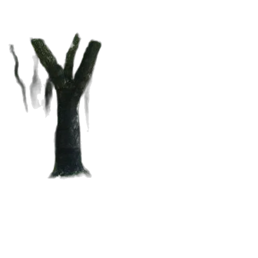 tree, creature, hair, crown transparent PNG cut-out