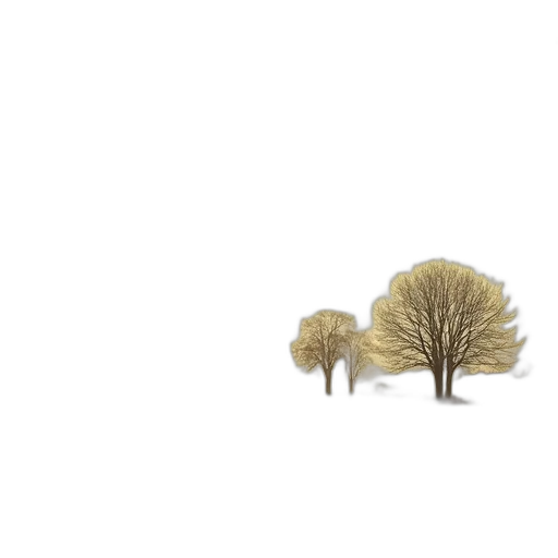 tree, hair, furniture, hat transparent PNG cut-out