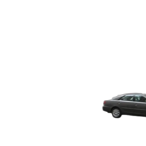 car, weapon, staff, animal transparent PNG cut-out