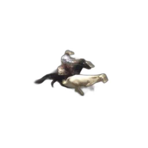 animal, creature, dragon, shoes transparent PNG cut-out