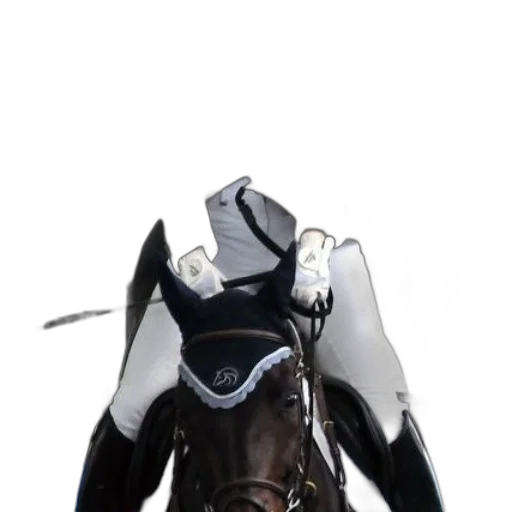 robot, mask, sword, staff transparent PNG cut-out