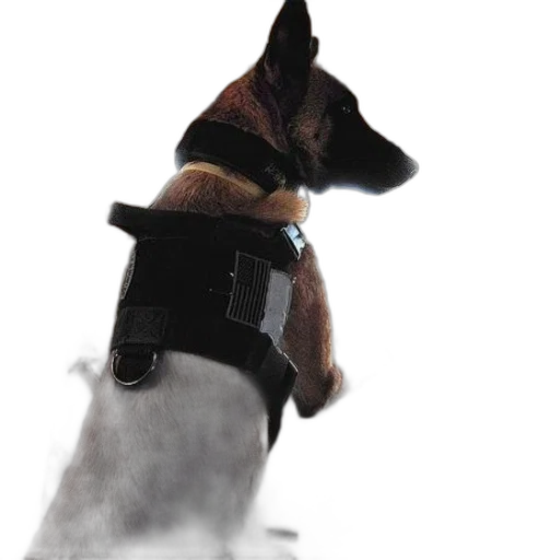 staff, animal, weapon, robot transparent PNG cut-out