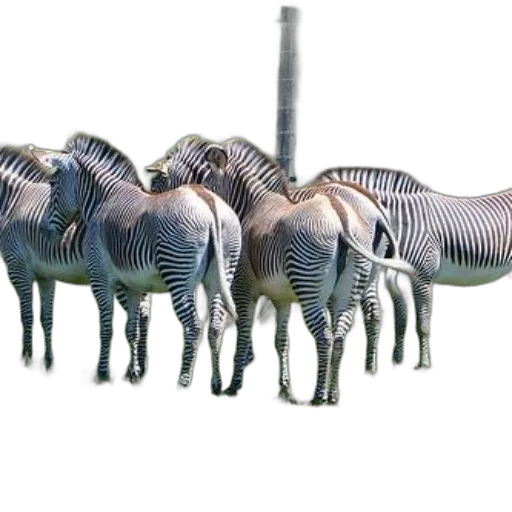 animal, creature, weapon, staff transparent PNG cut-out