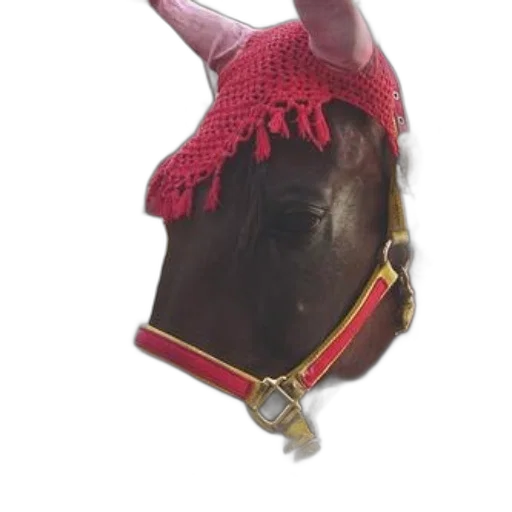 mask, hat, jewelry, crown transparent PNG cut-out
