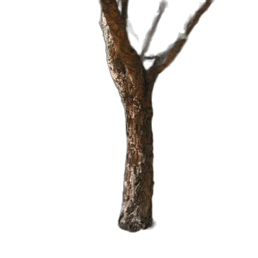 tree, staff, sword, hair transparent PNG cut-out