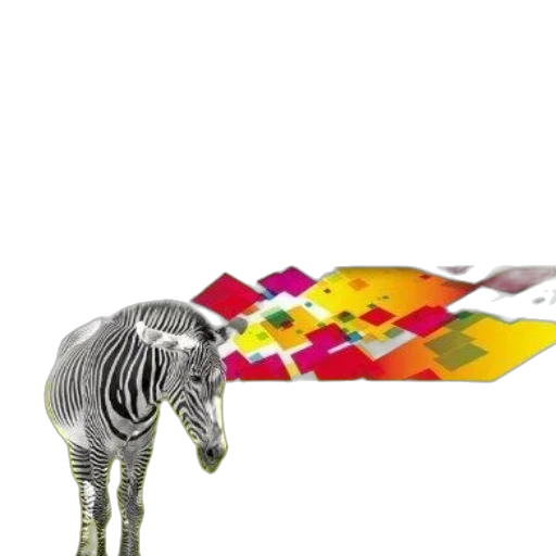 jewelry, animal, staff, umbrella transparent PNG cut-out