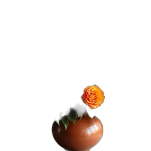 flower, crown, food, jewelry transparent PNG cut-out