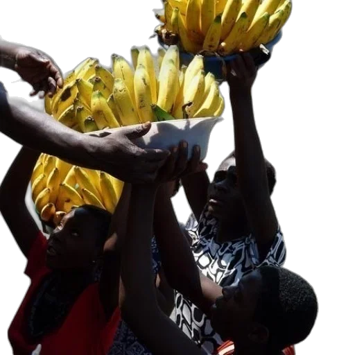 crown, group, people, holding transparent PNG cut-out