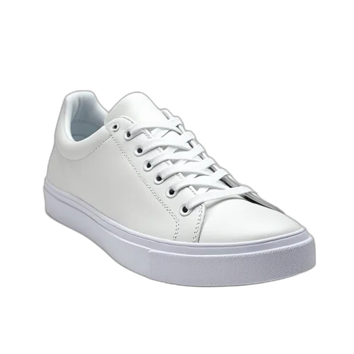 shoes, photorealistic, 3d render, white transparent PNG cut-out