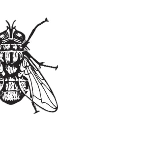 crown, animal, staff, jacket transparent PNG cut-out