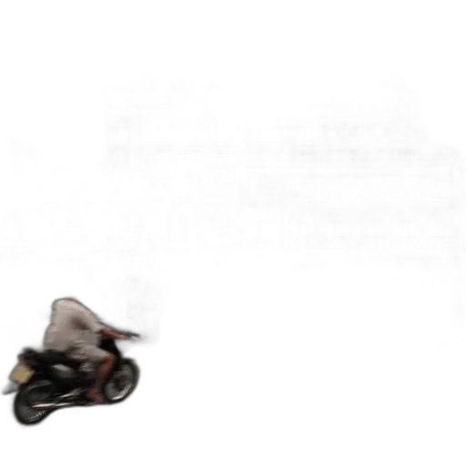 car, shoes, animal, creature transparent PNG cut-out
