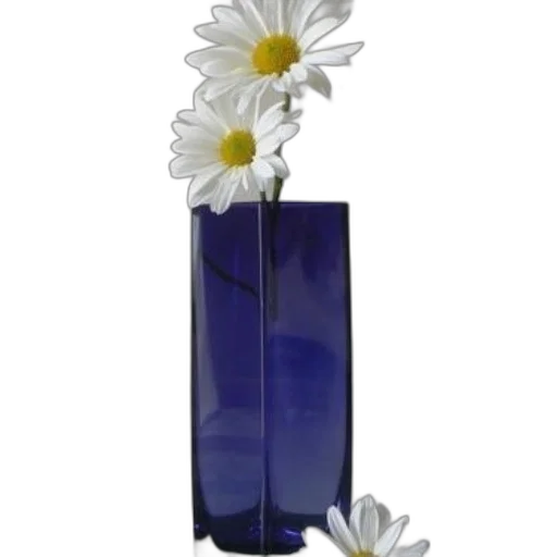flower, bottle, jewelry, crown transparent PNG cut-out