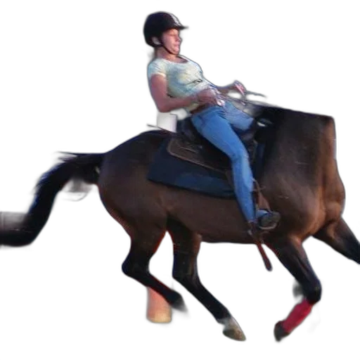 animal, staff, photorealistic, woman transparent PNG cut-out