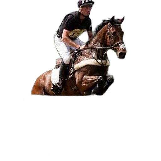 staff, animal, photorealistic, rider transparent PNG cut-out
