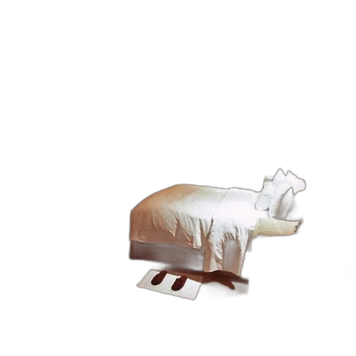 furniture, food, shoes, mask transparent PNG cut-out
