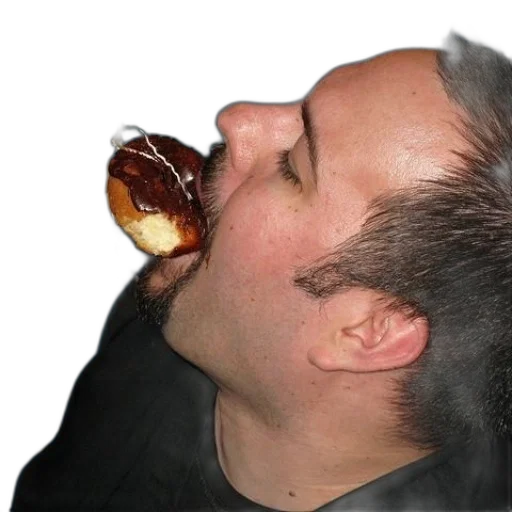 food, hair, creature, animal transparent PNG cut-out