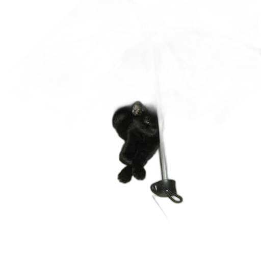 umbrella, staff, animal, hat transparent PNG cut-out