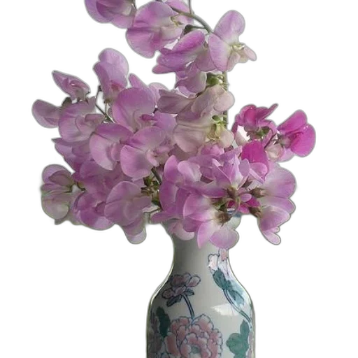 flower, crown, bottle, jewelry transparent PNG cut-out