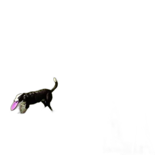 animal, creature, staff, umbrella transparent PNG cut-out