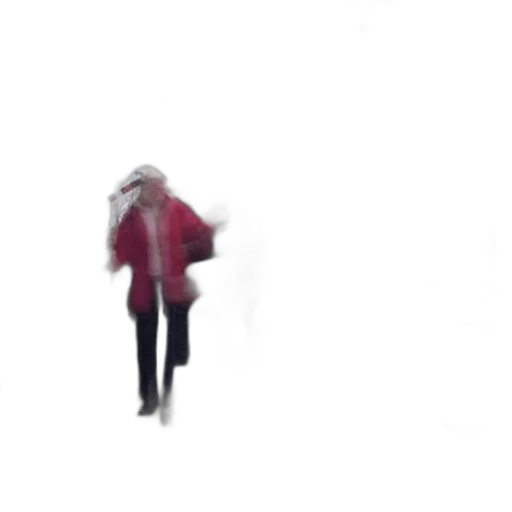 jacket, hat, umbrella, staff transparent PNG cut-out