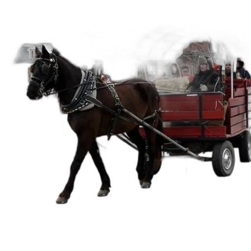 animal, car, dragon, photorealistic transparent PNG cut-out