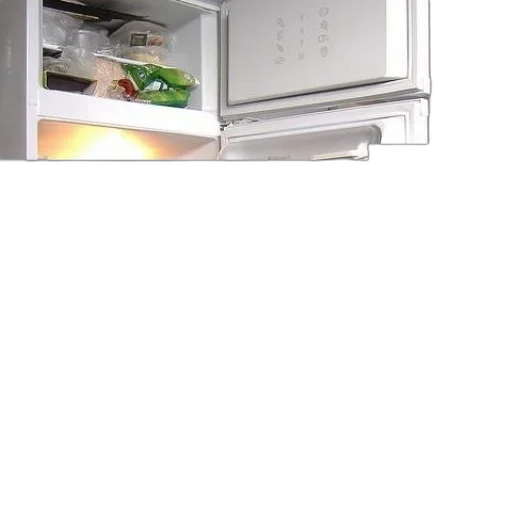 food, robot, dragon, animal transparent PNG cut-out