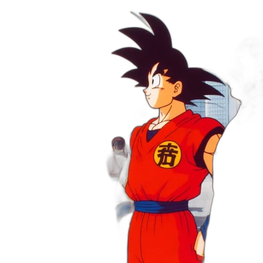staff, dragon, jacket, sword transparent PNG cut-out